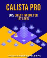 mlm classified website
