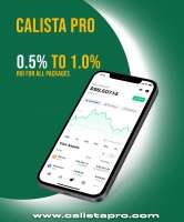 mlm classified website